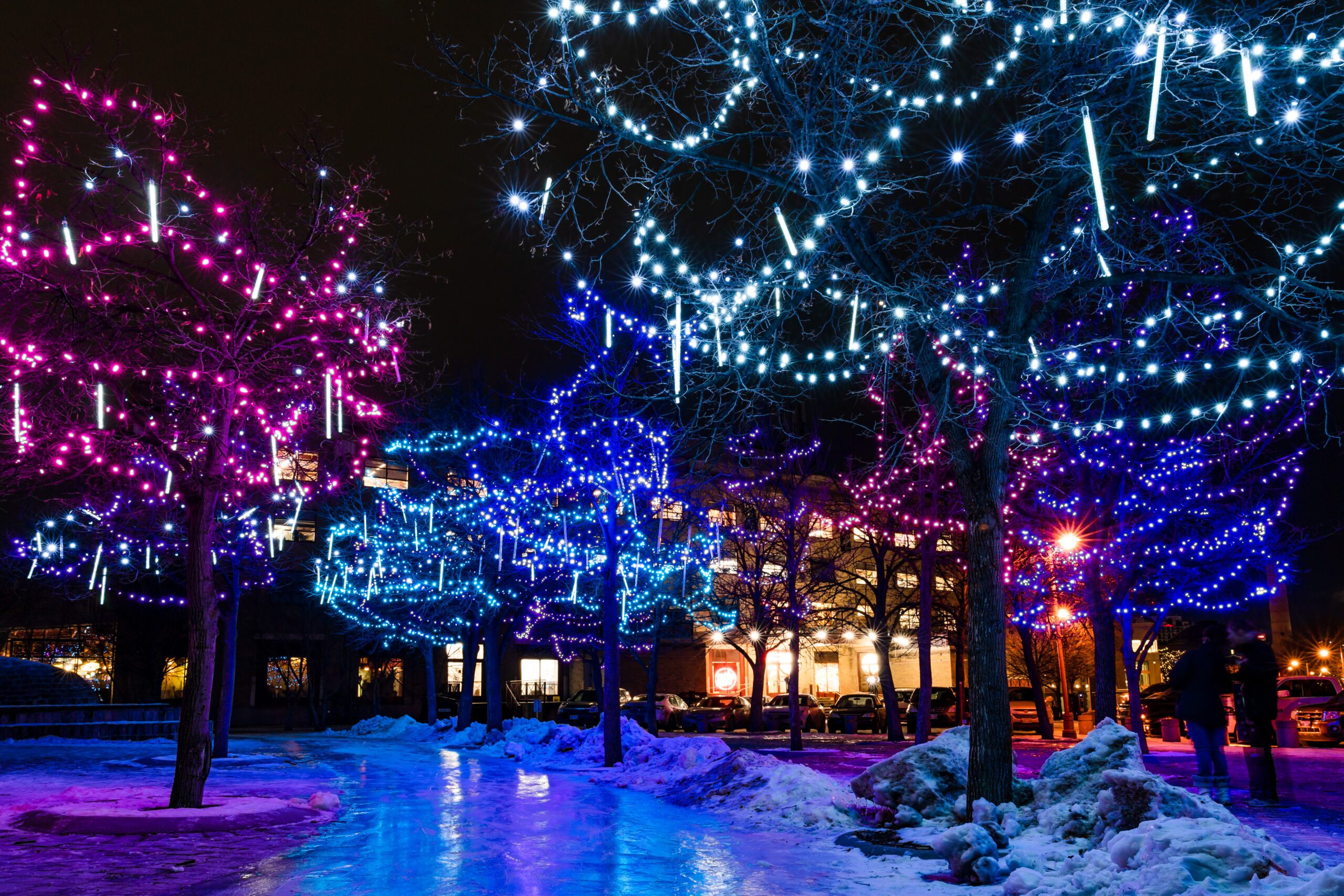 Holiday Lights Guided Winter Fat Bike Tours