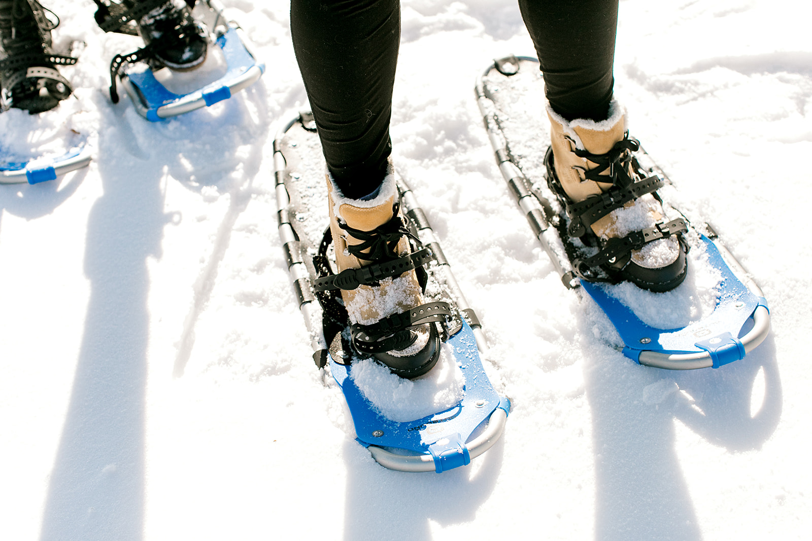 Guided Snowshoe Adventures